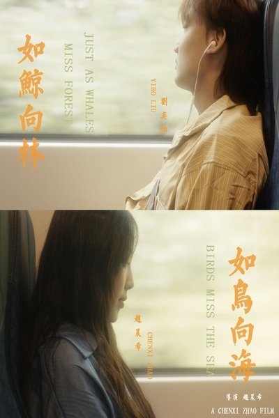 Poster do Filme Just As Whales Miss Forest, Birds Miss The Sea