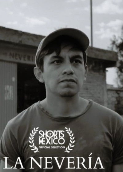 Poster do Filme La Nevería