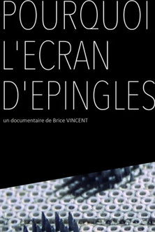 Poster do Filme Pourquoi l'écran d'épingles ?