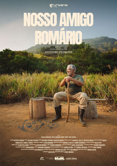 Poster do Filme Nosso Amigo Romário