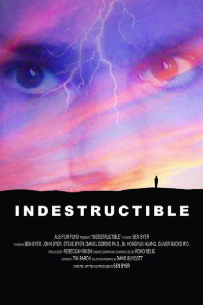 movie poster for Indestructible