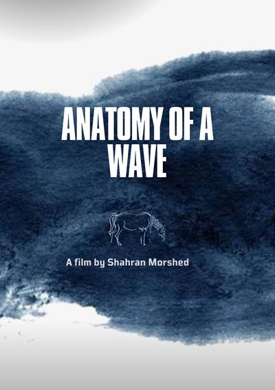 Poster do Filme Anatomy of a Wave