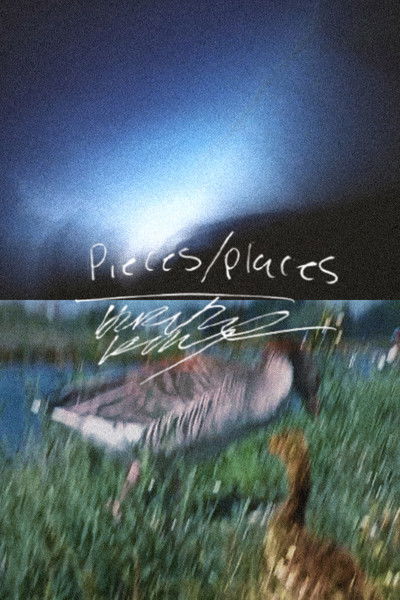 Poster do Filme Pieces/Places