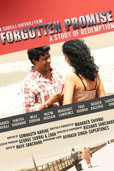 movie poster for Forgotten Promise