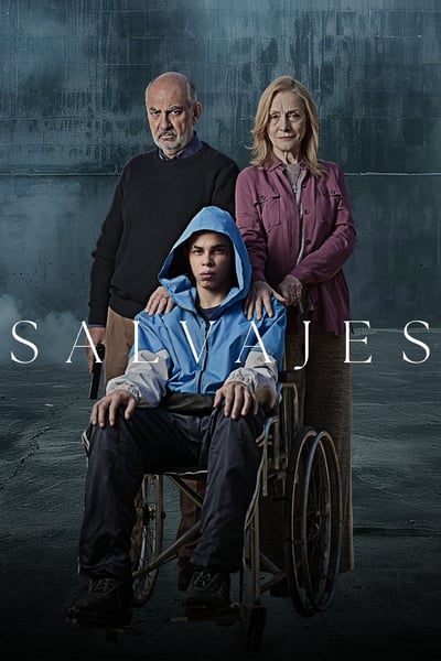 Poster for the movie Savages