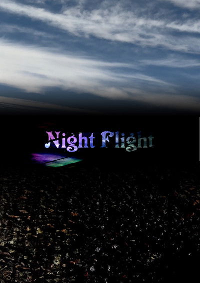 Poster do Filme Night Flight
