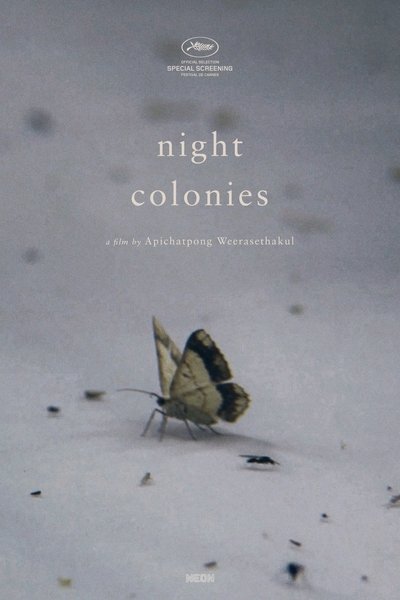 Poster do Filme Night Colonies
