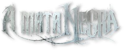 The Black Forest Logo