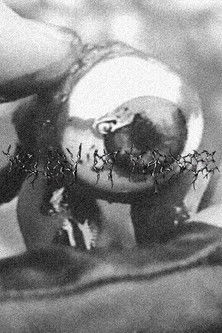 Poster do Filme Melody Of Madness