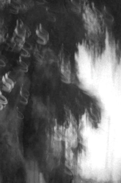 Poster do Filme Árbol de la Noche Victoriosa