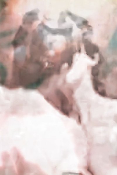 Poster do Filme Gênesis