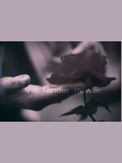 Poster do Filme The Tender Power