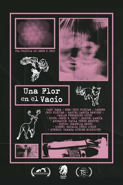 Poster do Filme Una Flor en el Vacío