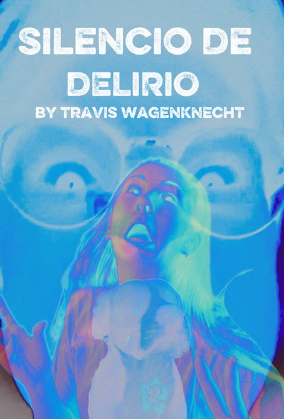 movie poster for Silencio De Delirio