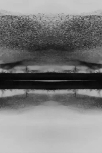 Poster do Filme murmuration