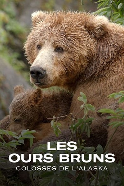 poster Les ours bruns, colosses de l’Alaska