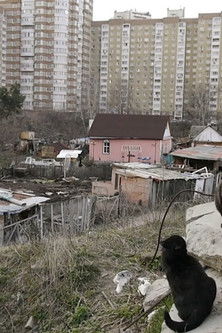 Poster do Filme Посеред хат