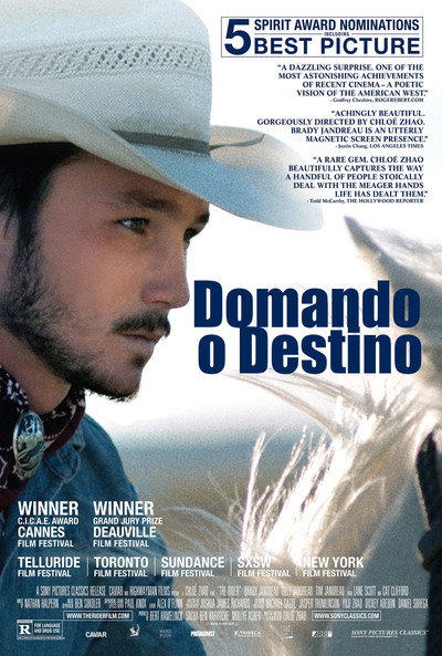 Poster do Filme Domando o Destino