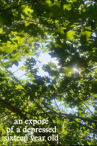 an exposé of a depressed sixteen year old