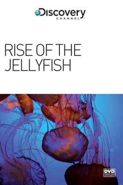 Poster do Filme Rise of the Jellyfish