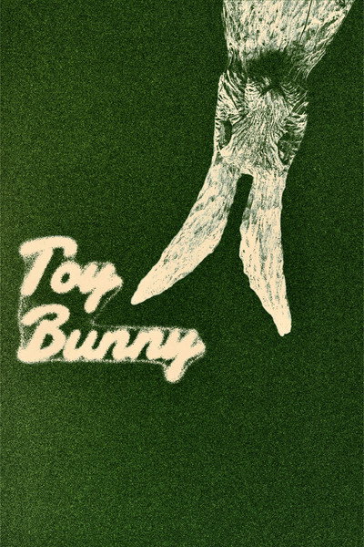 Toy Bunny