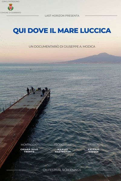 Poster do Filme Here where the sea shines