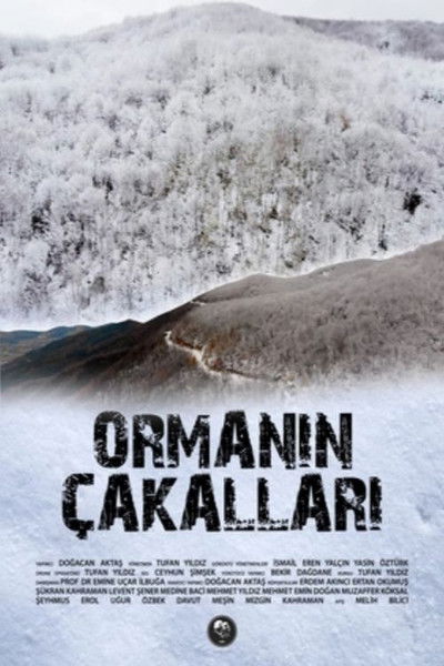 Poster do Filme Ormanın Çakalları
