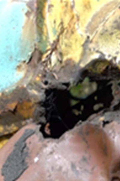 Poster do Filme Mercury