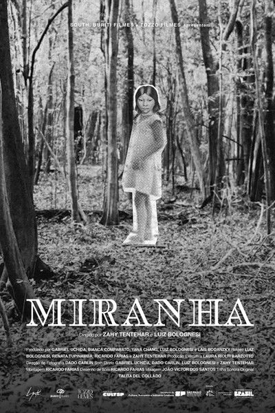 Poster do Filme Miranha