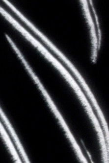 Poster do Filme Soglie