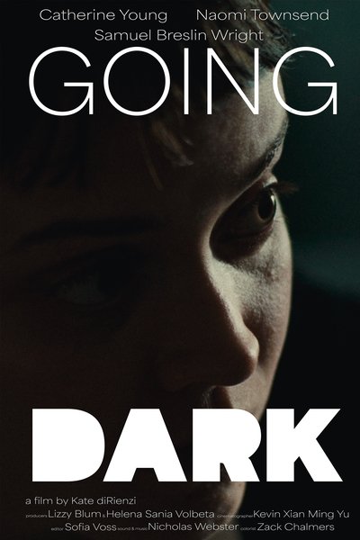 movie poster for Going Dark