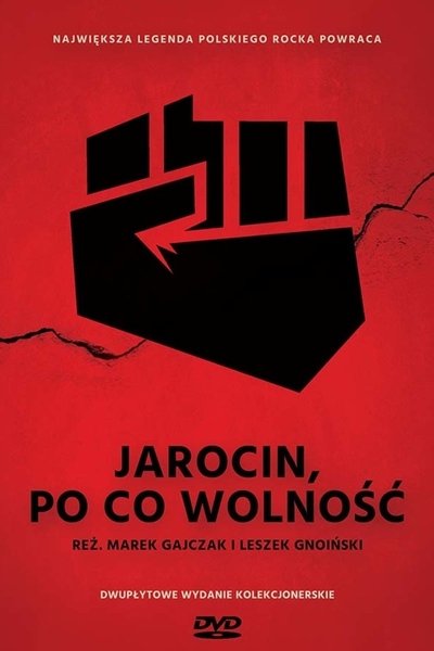Poster for the movie Jarocin