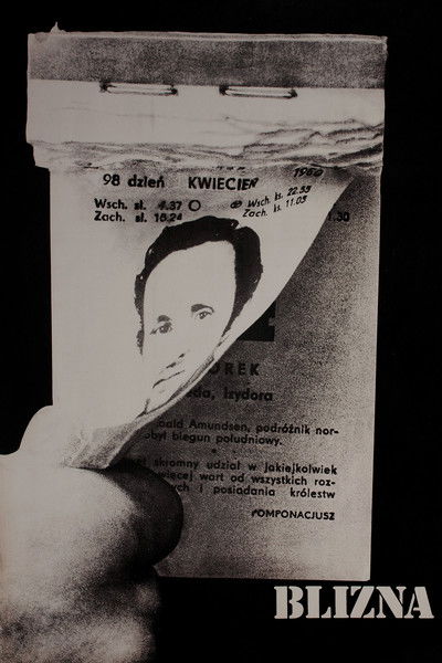 Poster do Filme A Cicatriz