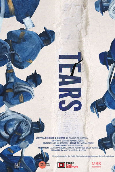 Poster do Filme Rozdarcia