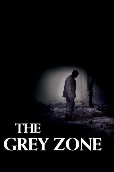 Poster for the movie The Grey Zone