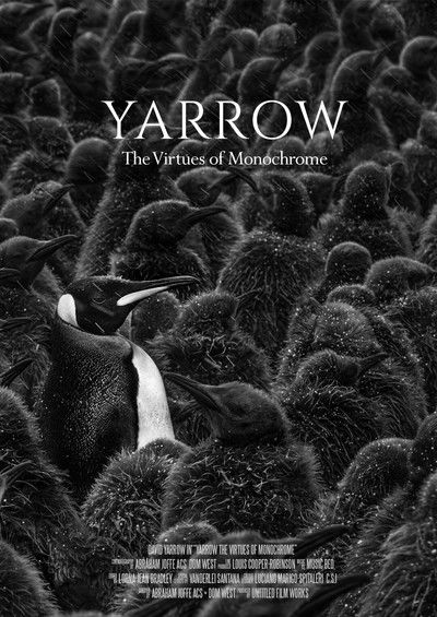 Poster do Filme Yarrow: The Virtues of Monochrome