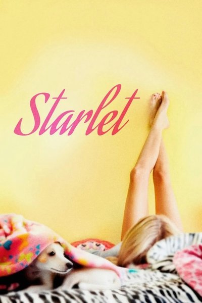 Poster for the movie Starlet