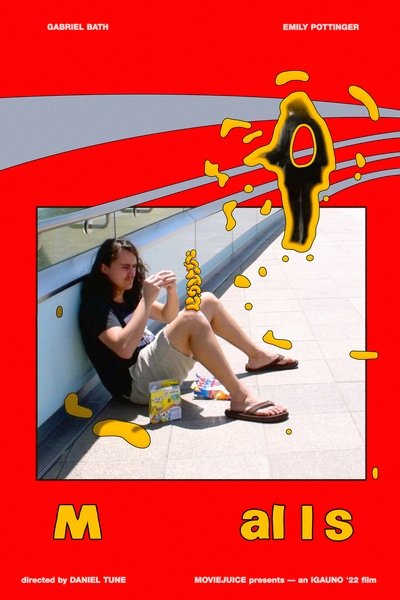 movie poster for Malls
