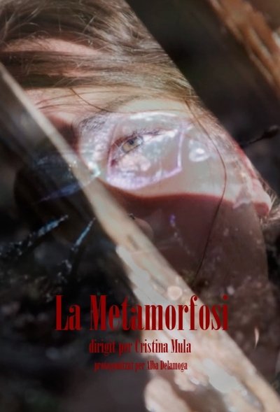 Poster do Filme La Metamorfosi