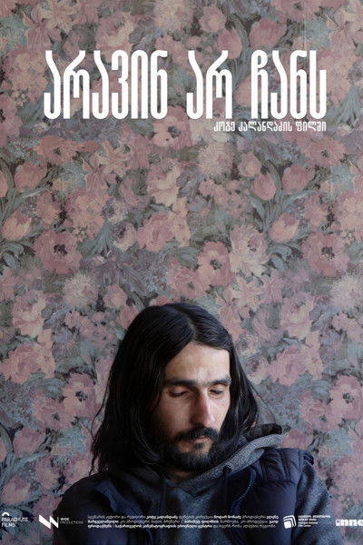 Poster do Filme არავინ არ ჩანს