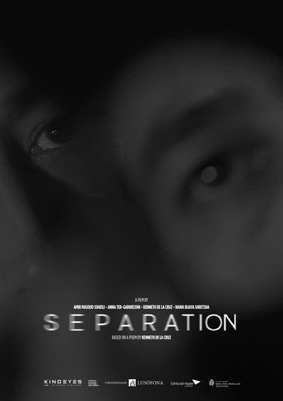 Poster do Filme Separation