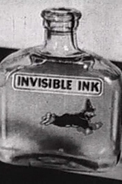 Invisible Ink poster Invisible Ink