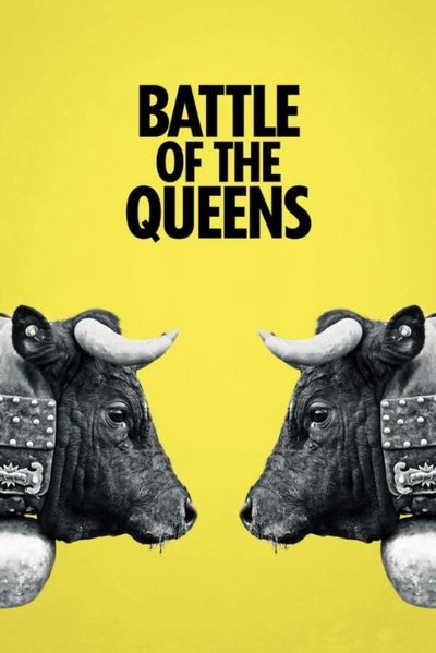 movie poster for Battle of the Queens