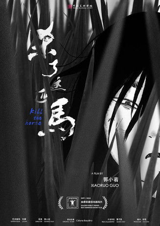 Poster do Filme 杀了这匹马
