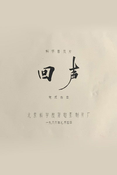 Poster do Filme 回声