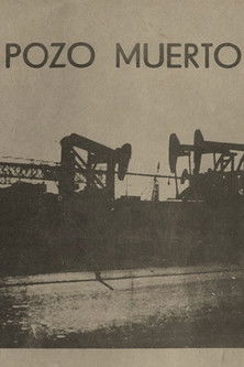 Poster do Filme Pozo muerto