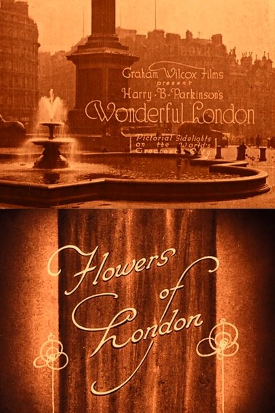 Watch - Wonderful London: Flowers of London Full Movie Online 123Movies