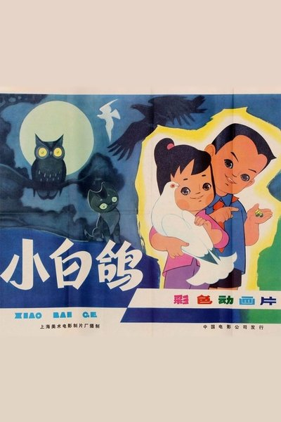 movie poster for 小白鸽