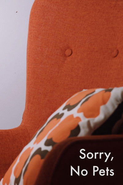 Poster do Filme Sorry, No Pets