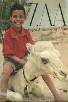 Poster do Filme Zaa, petit chameau blanc